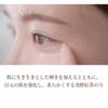 Pyunkang Yul Black Tea Eye Cream Time Reverse Eye Korean Elasticity [PKY] 25ml, Cream, Anti-Aging Care, Kombucha, Skincare,