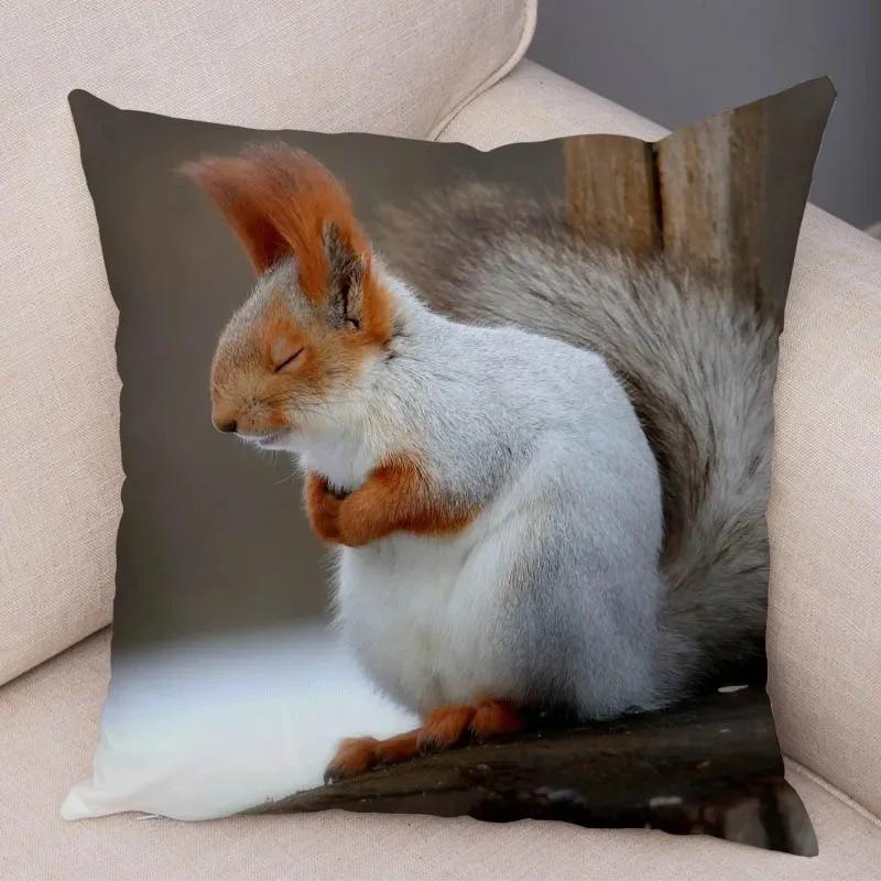 Cute Squirrel Cushion Cover Pillowcase Pillow Covers Home Decor Pet Animal Pillows Case Super Soft Polyester Pillows Covers