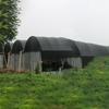 3/6/12Pin Black Sunshade Net Anti-UV Garden Plants Sun Shelter Agriculture Greenhouse Shading Cover Outdoor Awning