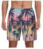 Beach Shorts, Palm Leaves with 3D Pattern for Men, Quick Drying Shorts for Hawaiian Plants