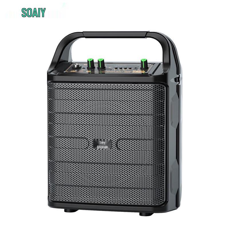 Soaiy SA-F33 Portable KTV & Live Stream Speaker