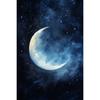 Fantasy Mondsichel Leinwandbild für Wohnzimmer Heimdekoration Mond am Sternenhimmel Poster Druck Abstrakte Wandkunst