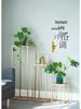 Nordic Gold Iron Art Flower Stand - Floor Standing Plant Rack for Living Room, Balcony, and Succulents.