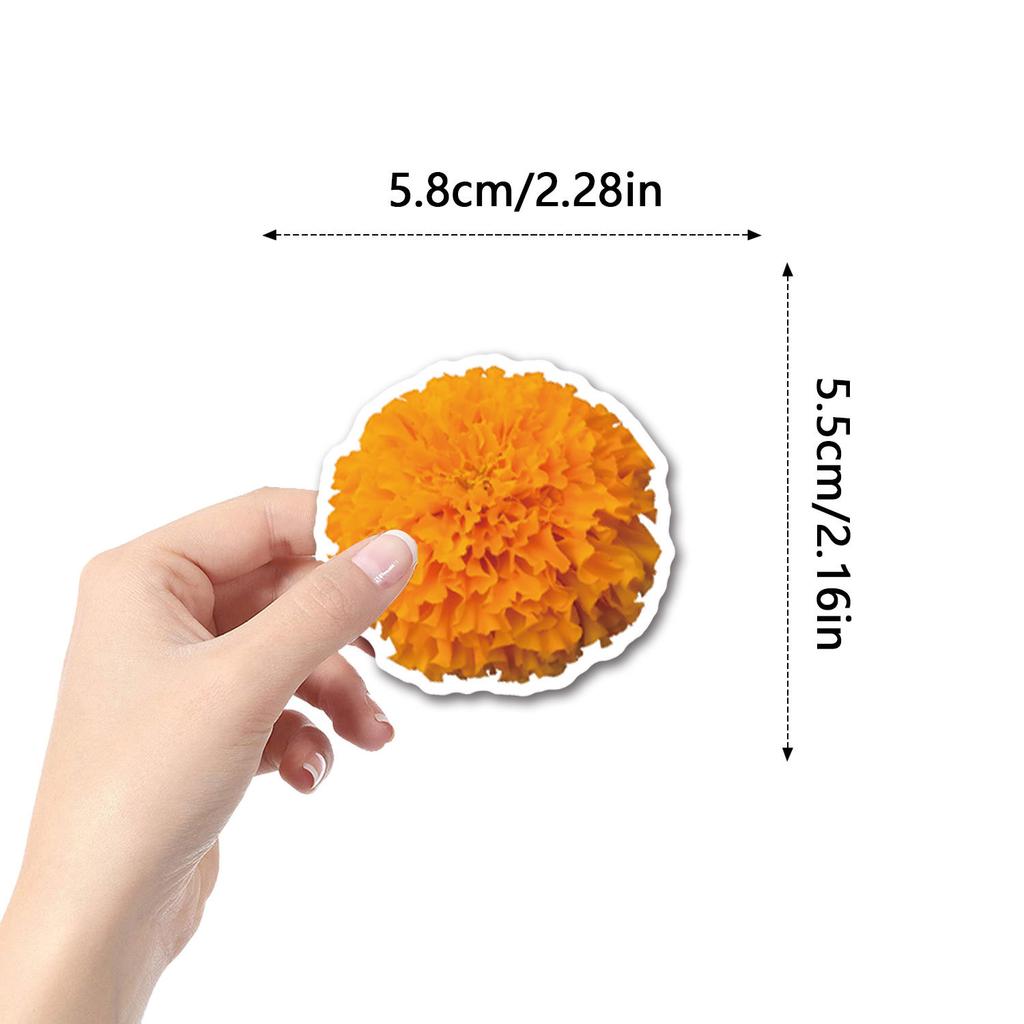 55 Marigold Marigold Graffiti Stickers Decorative Scooter Laptop DIY Stickers