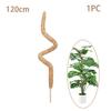 Cross-border Gardening Cocoanut Stick Green Pot Fixed Plant Climbing Cane Flower Support Cocoanut Climbing Cane Moss Rod 1pc