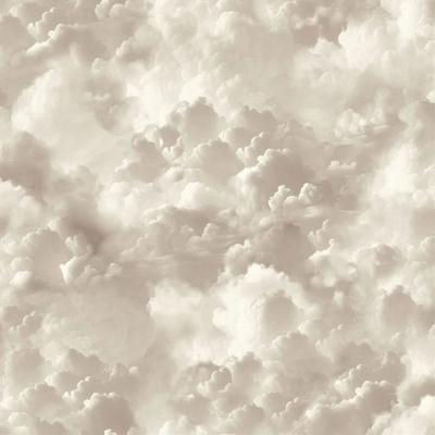 Arthouse Vanilla Skies Wallpaper