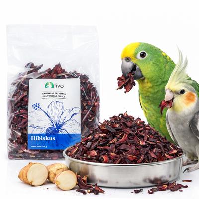 Hibiscus Petals for Parrots - Natural Plant Supplement | 100 G
