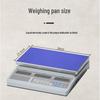 Precision Electronic Counting Scale (CN version)