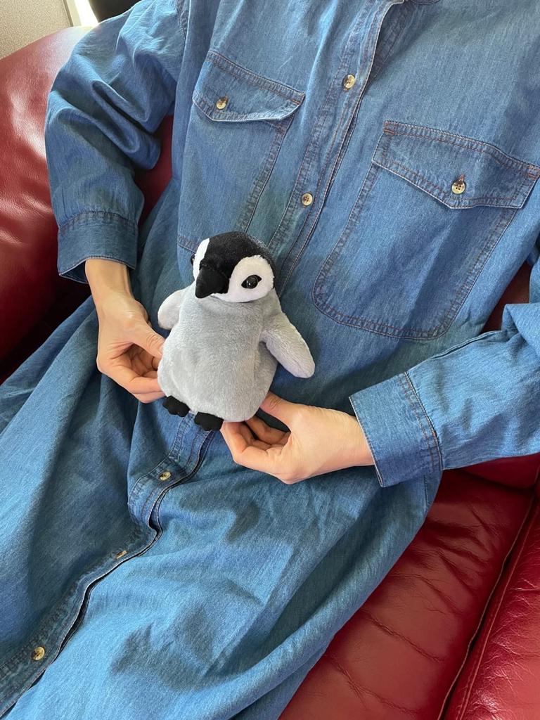 Fujisho Salofix Hot & Steam Pad, Animal Penguin