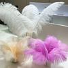Ostrich Hair Colored Feathers 20-25Cm Wedding Table Lamp Decoration Stage Diy Material Clothing Accessories