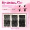 Natural Look False Eyelashes Wispy Style DIY Lash Extension Kit  Makeup Enhancement
