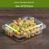 Disposable Transparent Food Containers with Lids