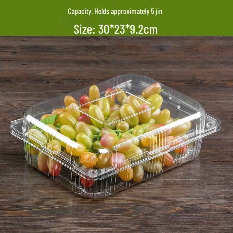 Disposable Transparent Food Containers with Lids