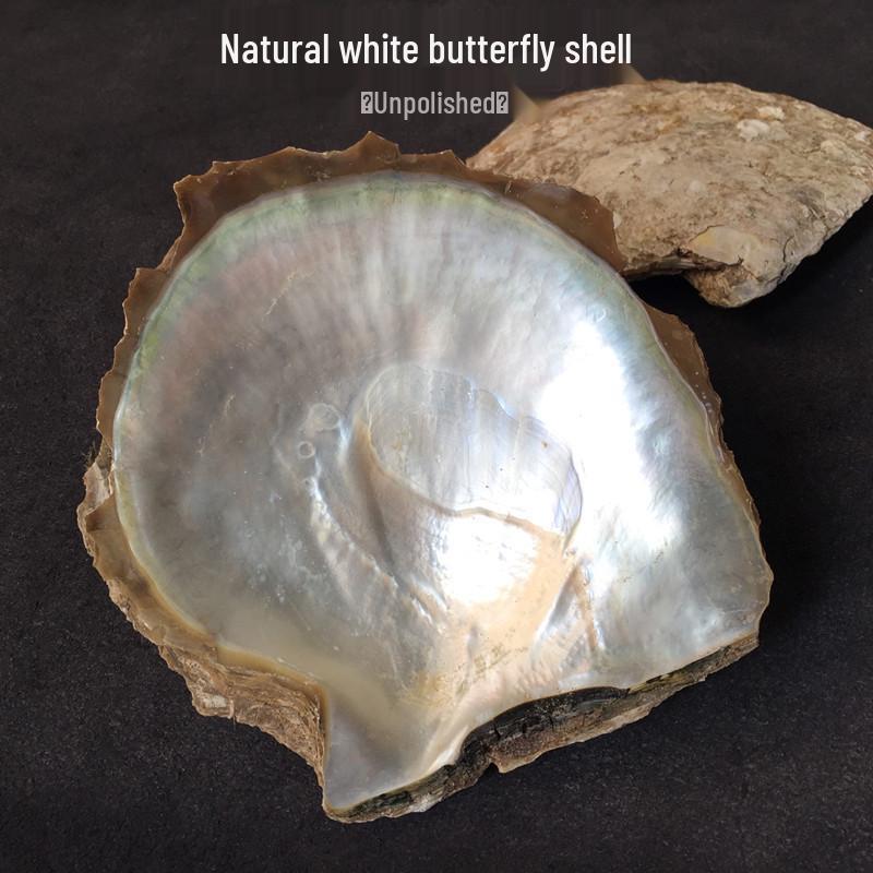 Handmade Large Conch Shell Ornament with Mother-of-Pearl Carving Material