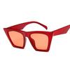 Fashion Square Sunglasses Woman Designer Luxury Man/Woman Cat Eye Sun Glasses Classic Vintage Uv400 Outdoor