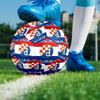1 Stück Dinamo POSTERHallenfußball Bunt Alle Altersgruppen Maschinengenäht PVC Wettkampfbereit Langlebig Hoher Rückprall HE3