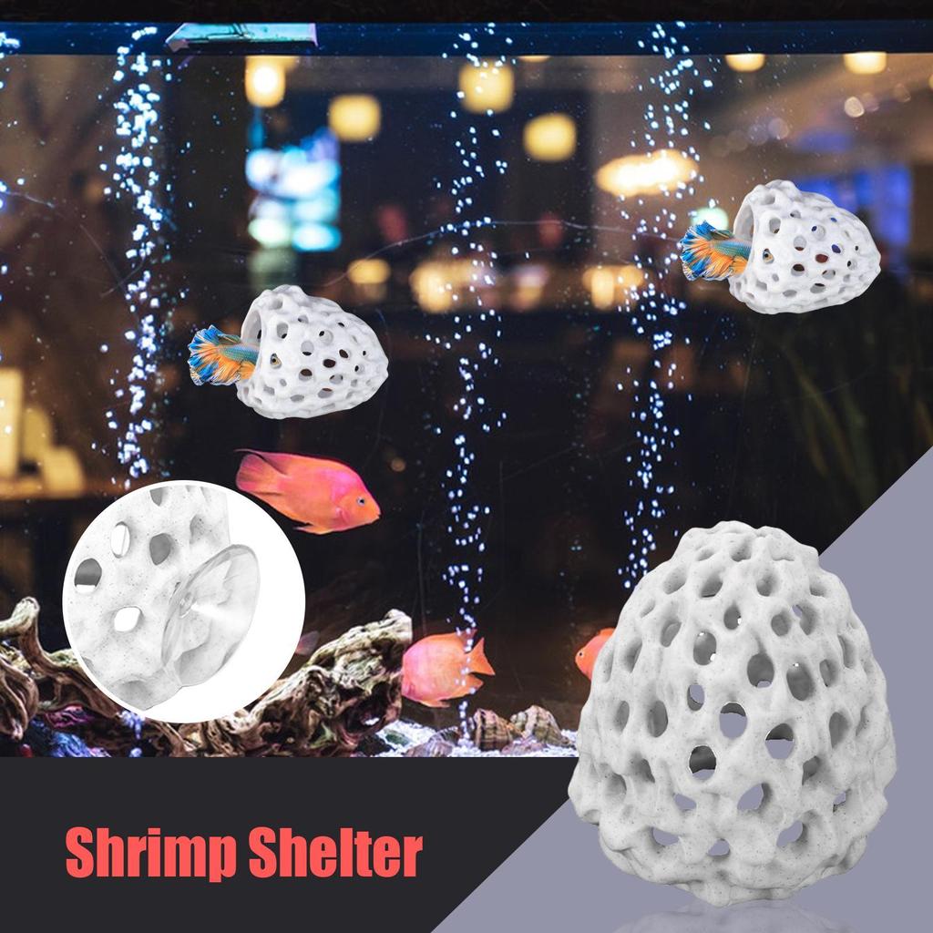 Porous Shrimp Hide Cave for Aquarium Natural Safe Fish Hiding Spot Breeding Shelter Tank Ornament for Betta Guppy Small Fish