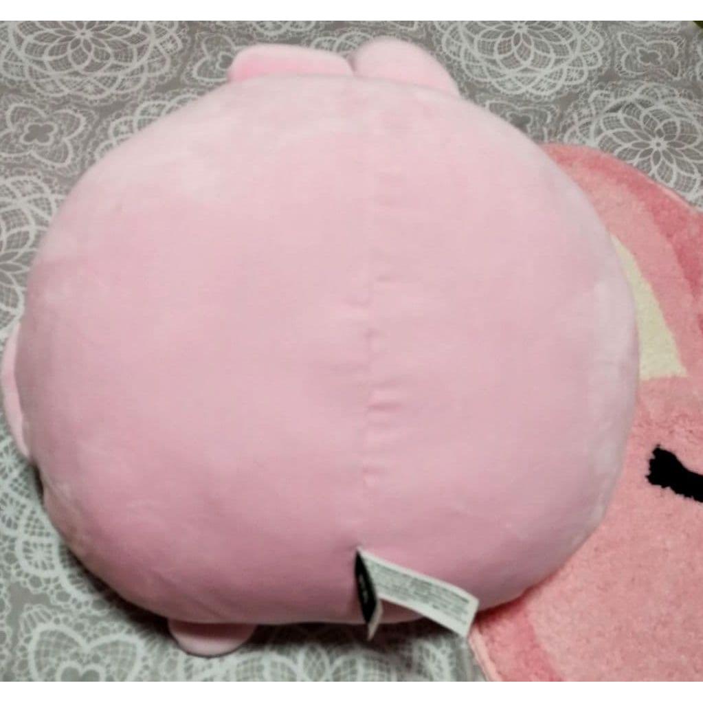 Used BTS BT21 Cushion & Mat