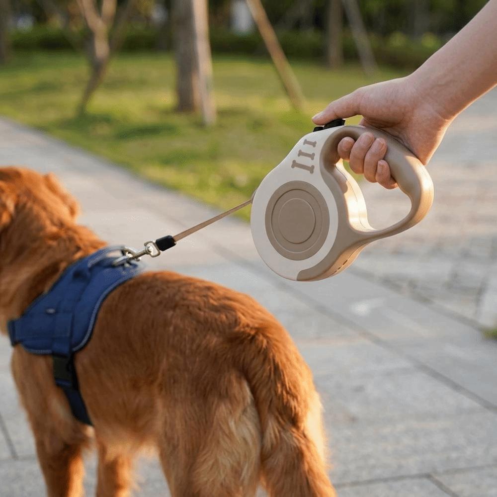5M Nylon Strap Pet Walking Leash Multi Colors Dog Chain Retractable Dog Leash  Outdoor Travel