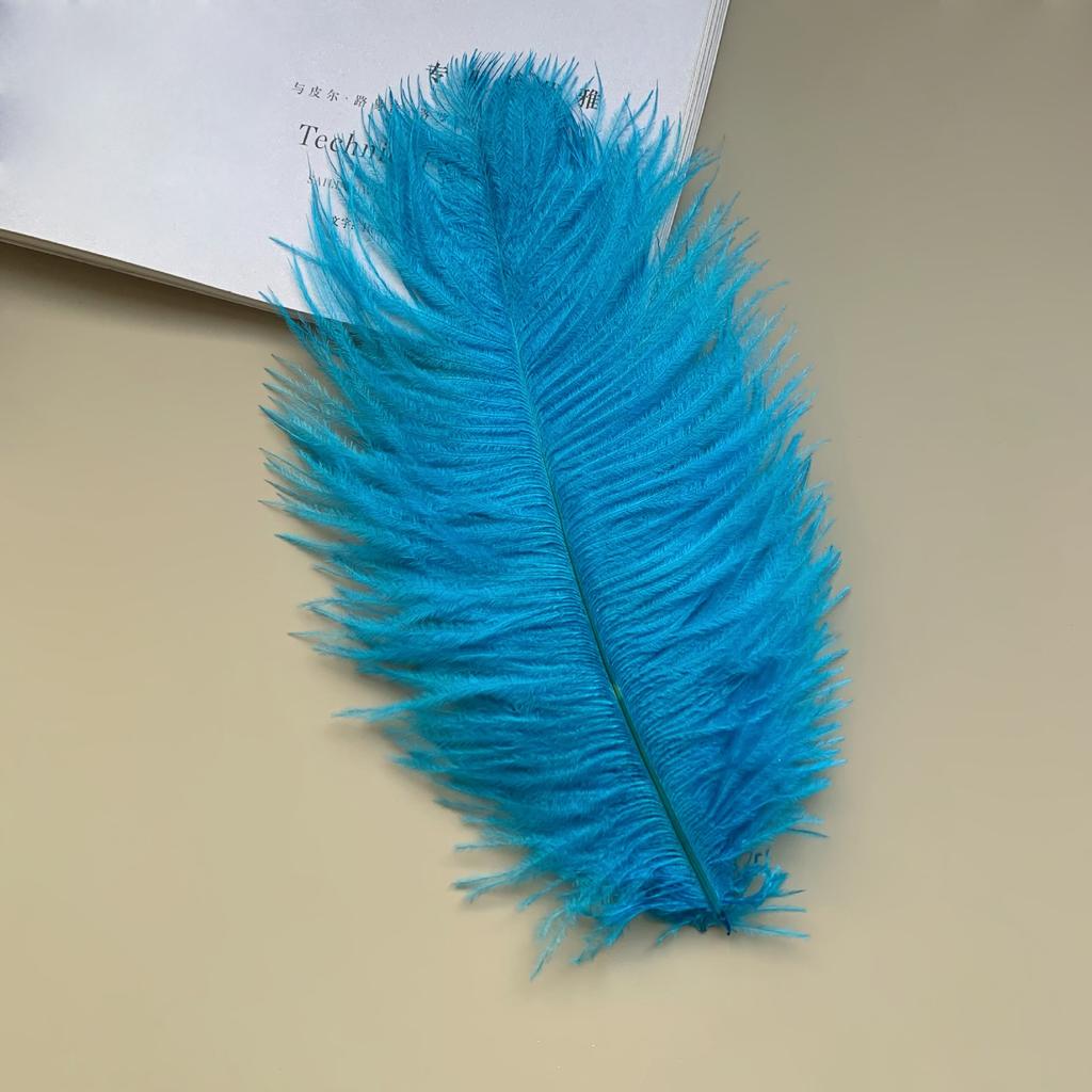 Source Thin Rod Ostrich Hair 20-25Cm High Quality Feather Diy Stage Clothing Accessories Flower Arrangement Material