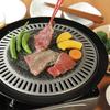 Wahei Freiz Yakiniku Plate Natural Stone Cassette Stove Only Taste Exploration MR-7387