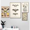 Vintage Liliac insecte imprimare Halloween Wall Art Pictură în ulei Antic Albină Animal Poster Living Room Decor Mural