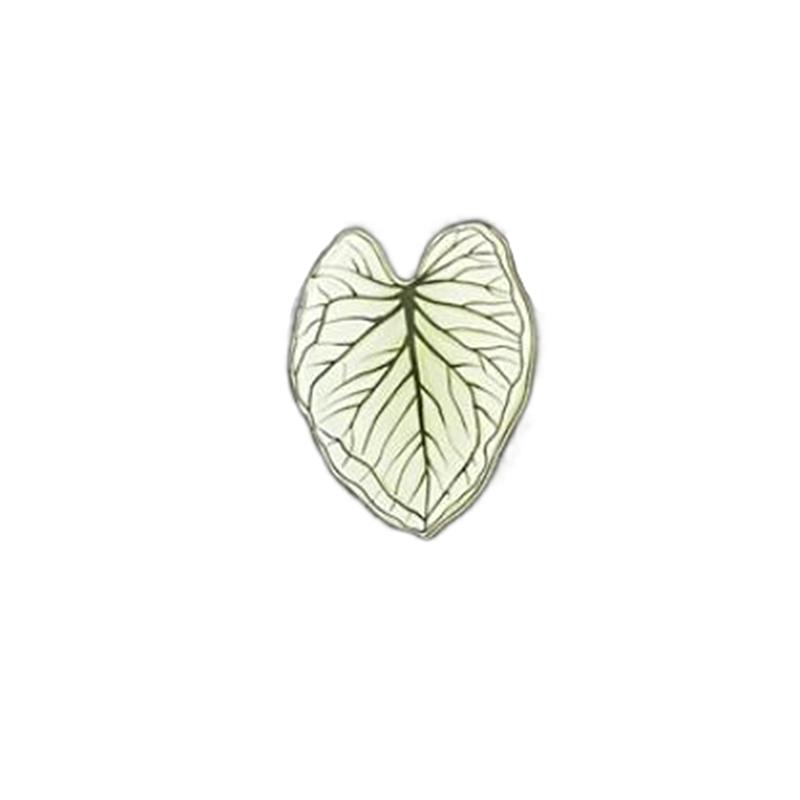 Cute Begonia Monstera Refrigerator Magnets, Kawaii Tropical Plants Refrigerator Magnets, Whiteboard Stickers