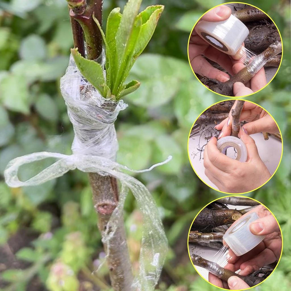 Película especial para injertar película, película de PE, cinta autoadhesiva para injerto de árboles frutales de jardín, cinta de atar, película de enrollar