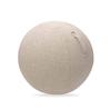 Elecom Balance Ball with Handle for Easy Cover, 75cm, Carrying, Beige, HCF-BBC75BE
