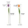 Starry Dance Tactile Tulip Artificial Flowers - Home & Wedding Décor INS Style