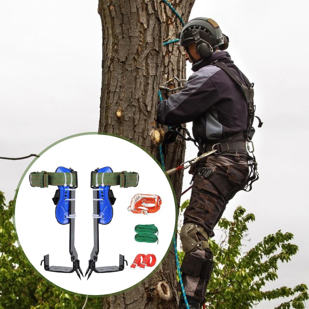 Tree Climbing Gear Spikes Accessories Climbings Kit for Work Logging
