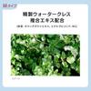 Est Serum In Emulsion M G. P. [Milk Lotion]