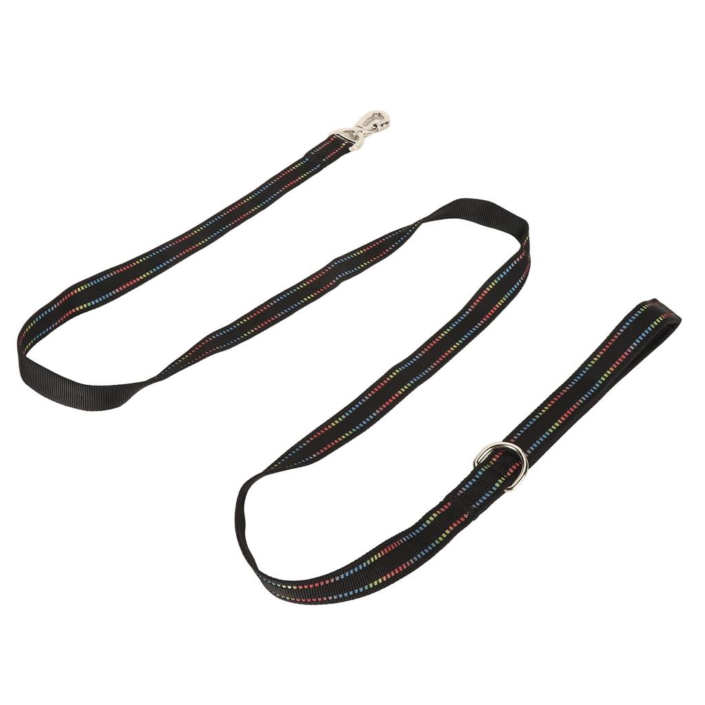 Pet Leash Fluorescent Dog Traction Rope Secure Locking Fabric Training Leash for Walking Shopping Ca