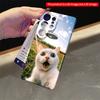 2DFlat Samsung phone case Surprised White Cat Meets UFO in Sunny Field Applicable to Galaxy S22 S23 S24 S25ULTRA S26 A12 A13 A14 A15 A16