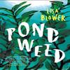 Pondweed by Lisa Blower Hardback Book 9781912408863