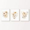 Set di 3 Stampe Floreali di Campo ad Acquerello Neutro / Decorazione Murale Minimalista Boho / Arte Murale Botanica Stampabile / Poster con Stampe di Rami
