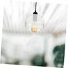Cabilock Lantern Shade, Spherical Glass Pendant Light Shade, Transparent Light Cover, E26, Ceiling Light, Hanging Light, Bedroom, LED Compatible, No I
