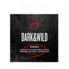 BTS DARK & WILD (o primeiro álbum completo)