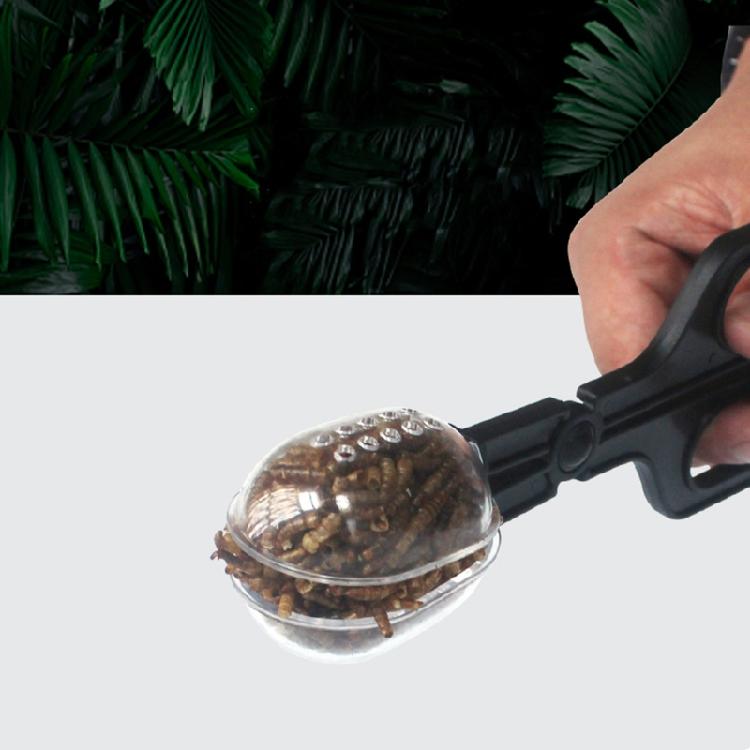 Feeding Tool Cleaning Clamp Clip for Reptile Hedgehog Hamsters Guinea Pig Rat