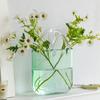 Trendige Glas-Handtaschen-Vase, Kreative Blasen-Fischglas-Blumenvase für Tischplatte, Hydroponische & Dekorative Blumen