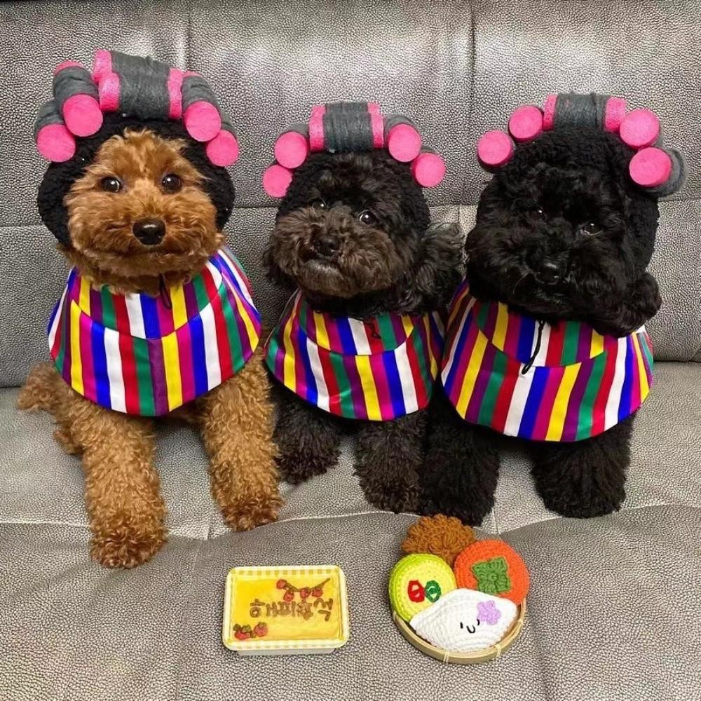 Curly Hair Curly Hair Dog Hats Soft Pet Headgear Cat Hairdressing Costume Photography