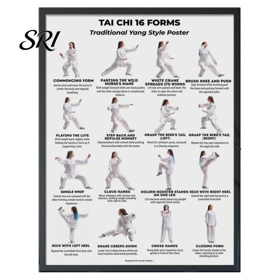 Tai Chi Chair Exercise Poster Workout Unframed Routine Clear Visual Instructions Low Impact Guide Seated Chart for Seniors Beginners Gentle