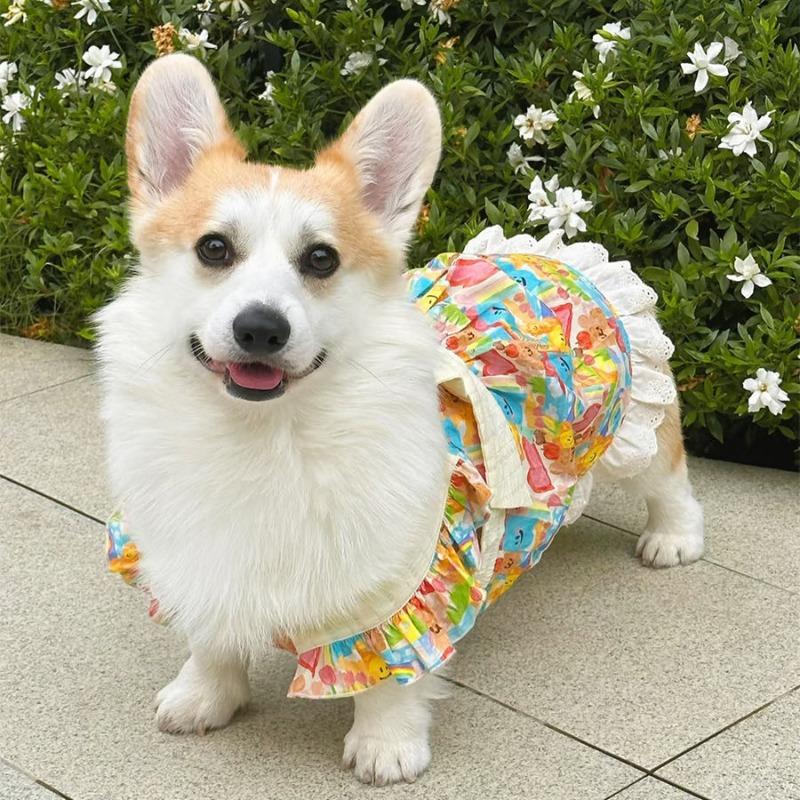 

Одежда для питомцев весна и лето ультралегкая одежда для корги, одежда для питомцев, милая юбка в стиле принцессы с бантом XXL chest 70 back 50 about 26-17.5 kg