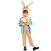 Easter Bunny Costume Adorable Carrot Plush Jumpsuit Winter Festival Stage Performance Attire Halloween Christmas Clothes Set