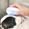 Pet Supplies Brush Massage Brush Medium and Small Cat and Dog Universal Bath Accesorios