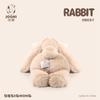 Peluche Lapin Timide 35cm Mignon Animal en Peluche Dessin Animé Oreiller Poupée Douce Cadeau d'Anniversaire Pour Enfants