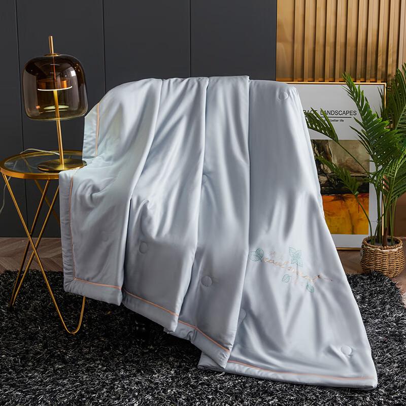 

Arctic Velvet Yujing Series Winter Quilt