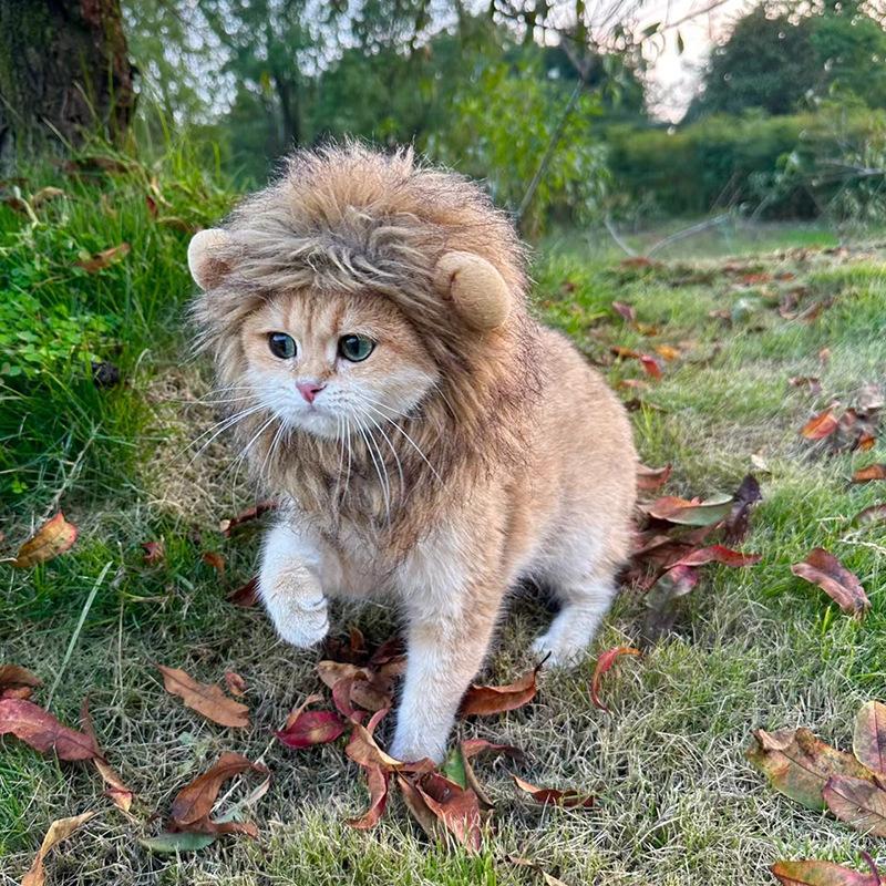 Cute Themed Pets Clothes Cap Wig Lion Mane Costume Pet Cosplay Cat Clothing Headgear Accessories Dog Cat Hats Fun Dress up