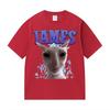 James Iames Funny Cat Meme TShirts Stupid Joke Gifts Cat Lover Short Sleeve TShirt Unisex Unisex Fashion Oversized Cotton T Shirts