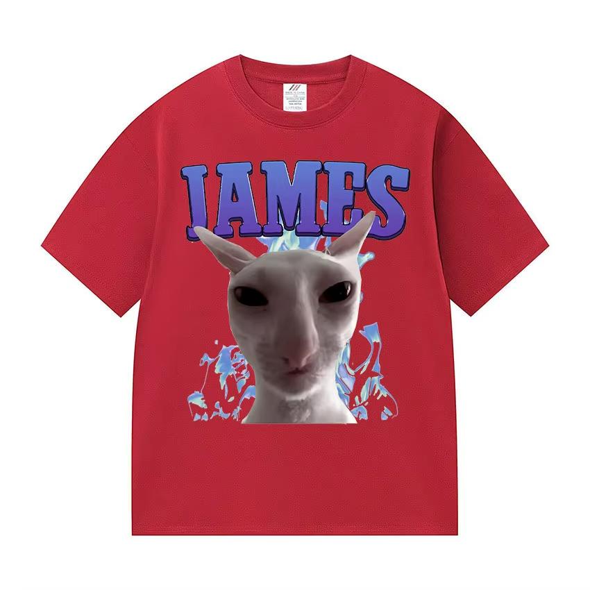 James Iames Funny Cat Meme TShirts Stupid Joke Gifts Cat Lover Short Sleeve TShirt Unisex Unisex Fashion Oversized Cotton T Shirts